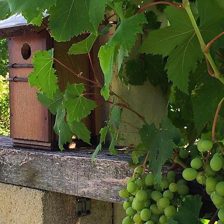 5 Lasserre Moulon-sur-Dordogne Bagian luar foto