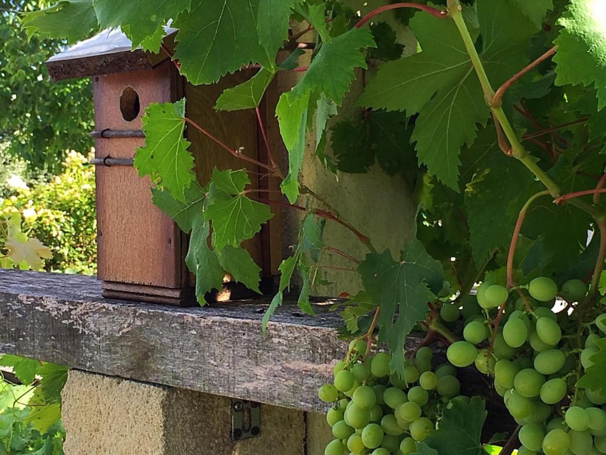 5 Lasserre Moulon-sur-Dordogne Bagian luar foto